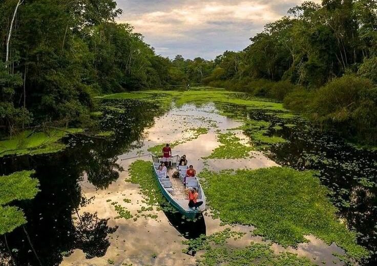 Serranía de la Macarena, Jungle Tour
