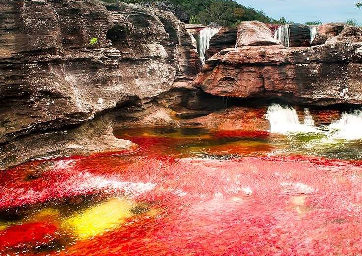 Caño Cristales River Trip