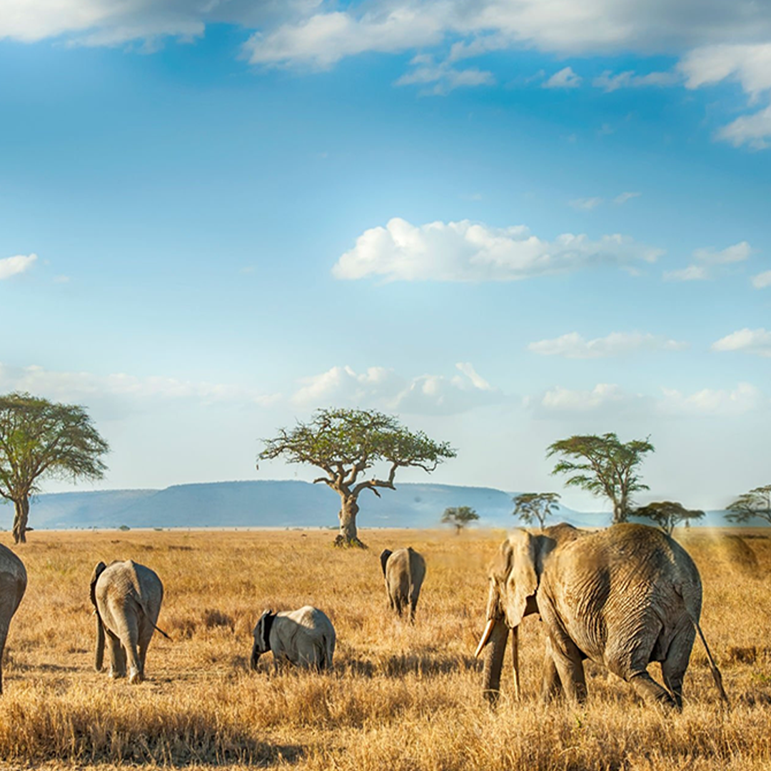 Tanzania